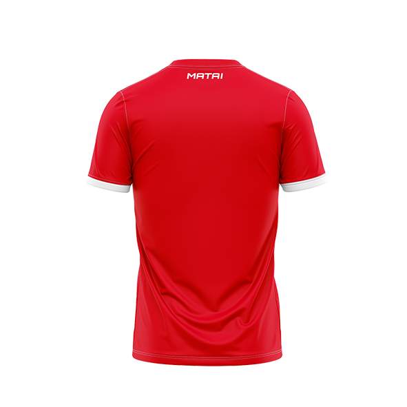 St George ELITE SUBLIMATED TRAINING SHIRT back PNG